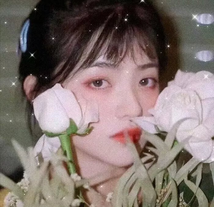 爱我请留言粤语